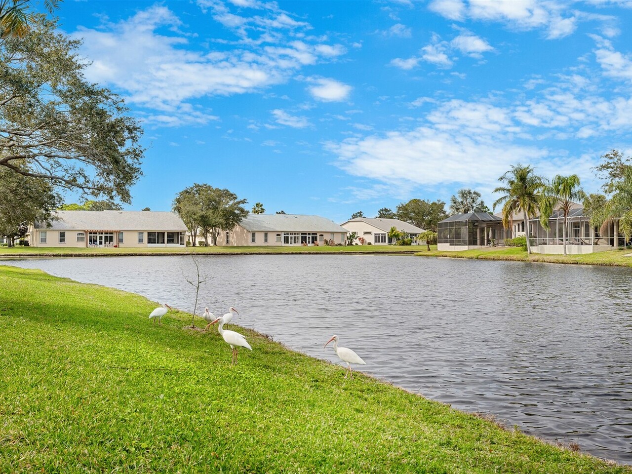 1120 Royal Fern Drive