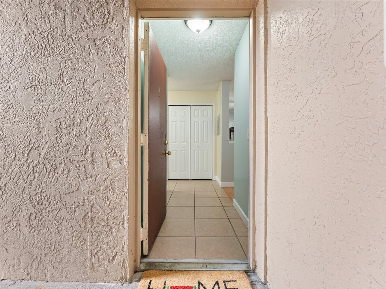 235 Spring Drive #5