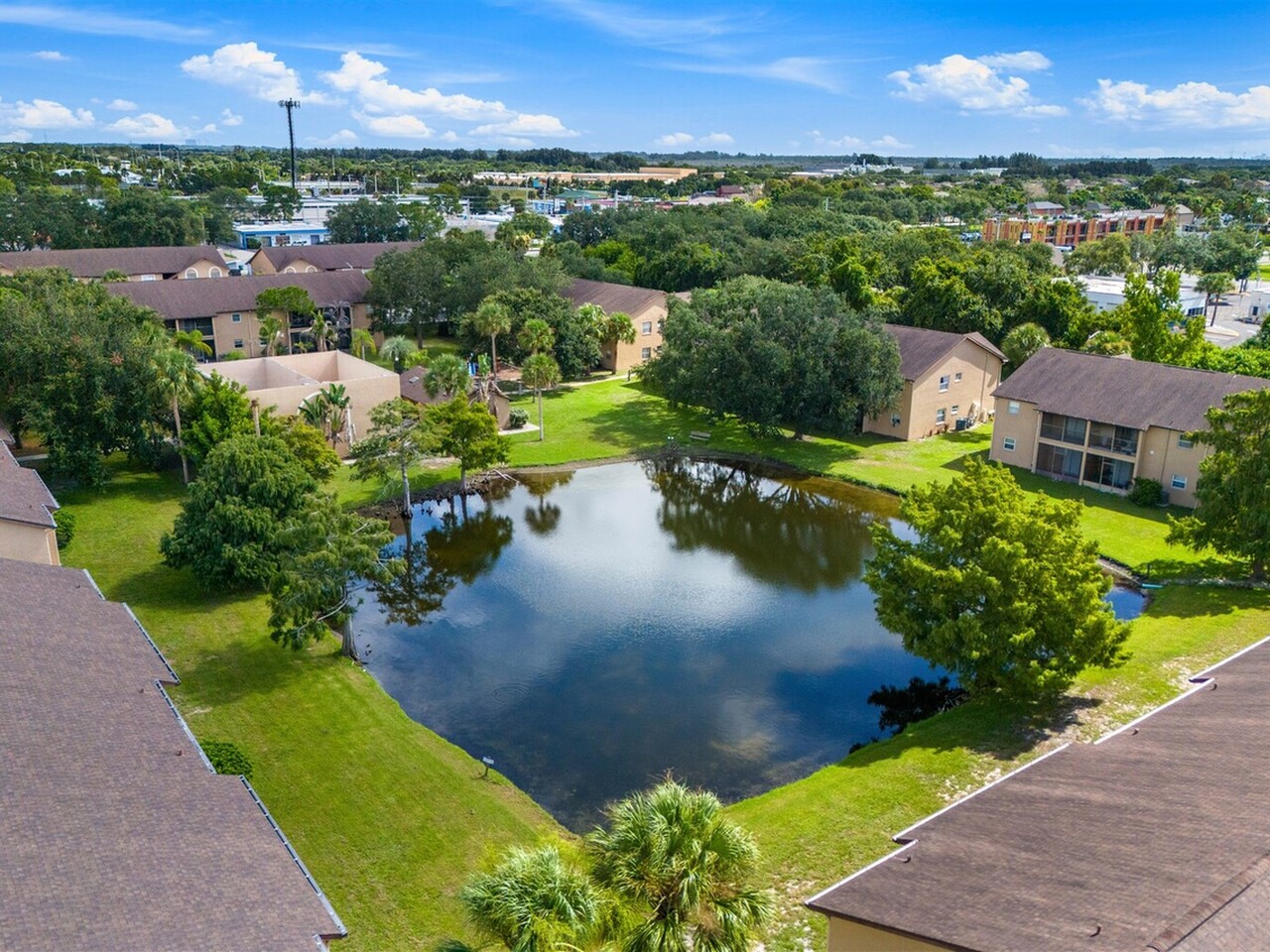 235 Spring Drive #5