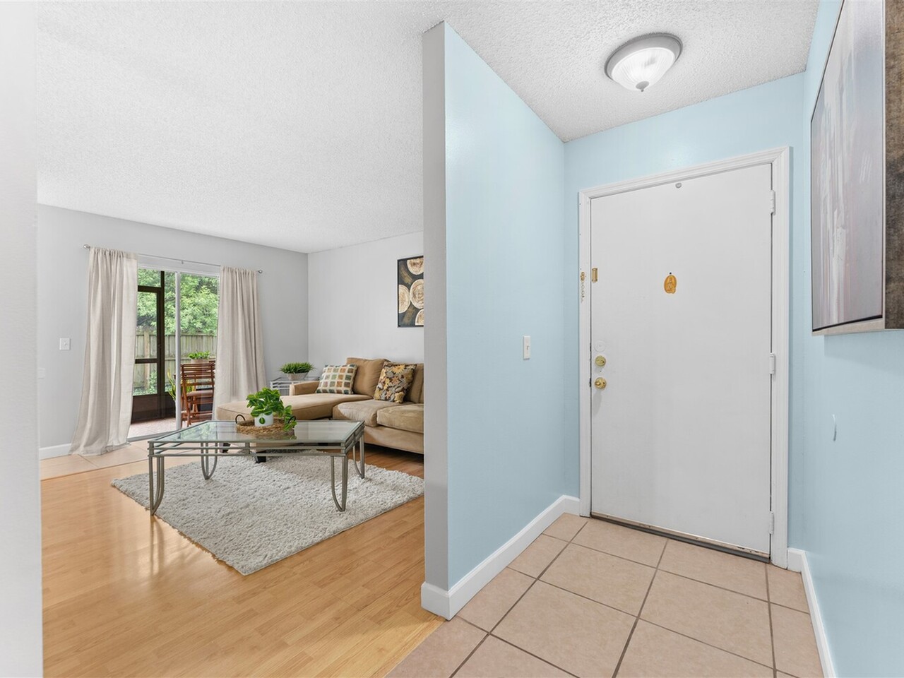 235 Spring Drive #5