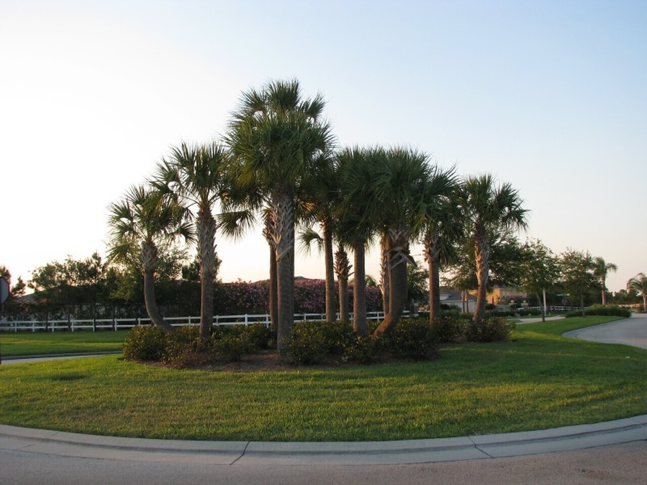4083 Orchard Drive