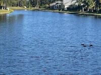 1280 Royal Fern Drive